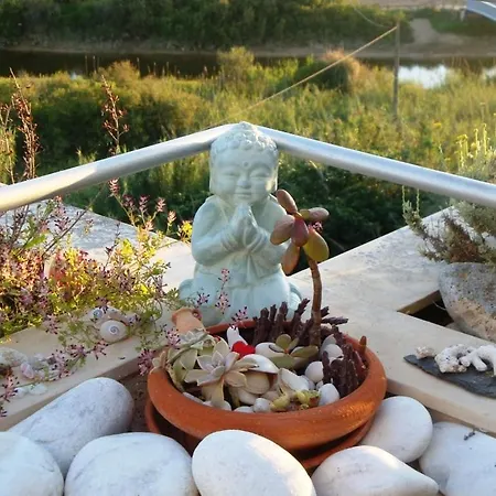 - Where Mind, Soul And Body Find Peace Apartment